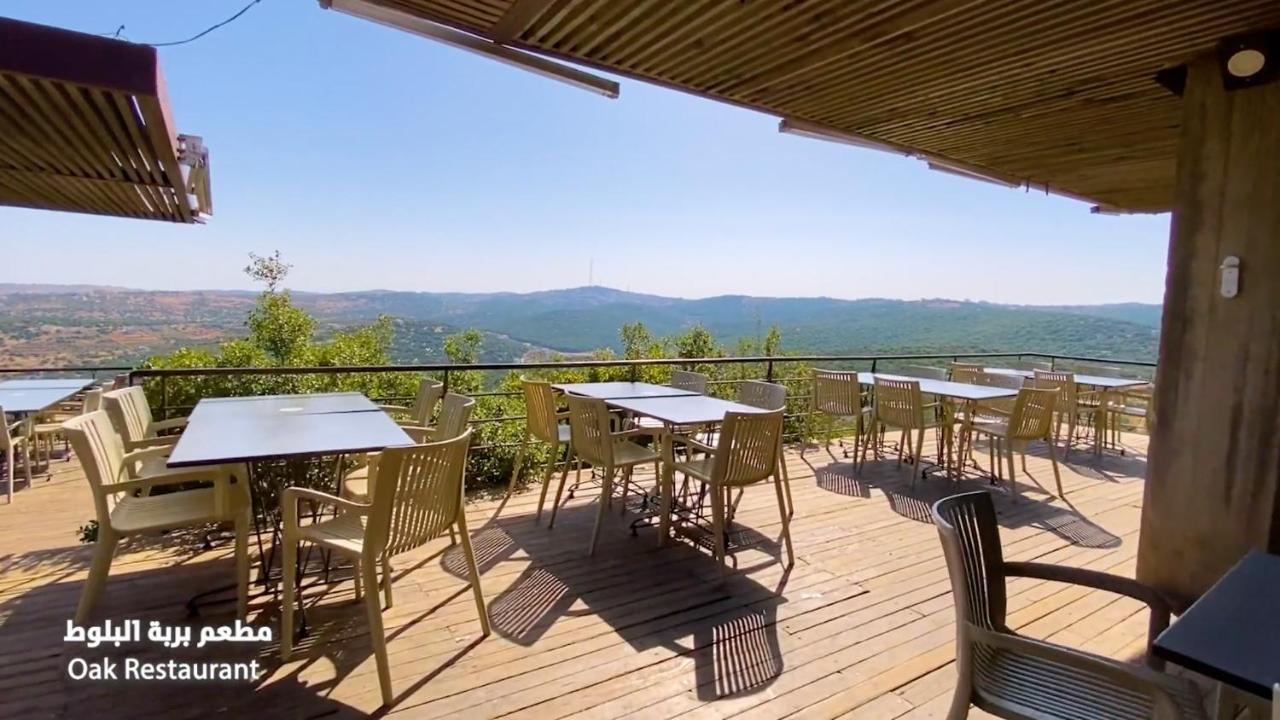 Ajloun Forest Reserve Kültér fotó