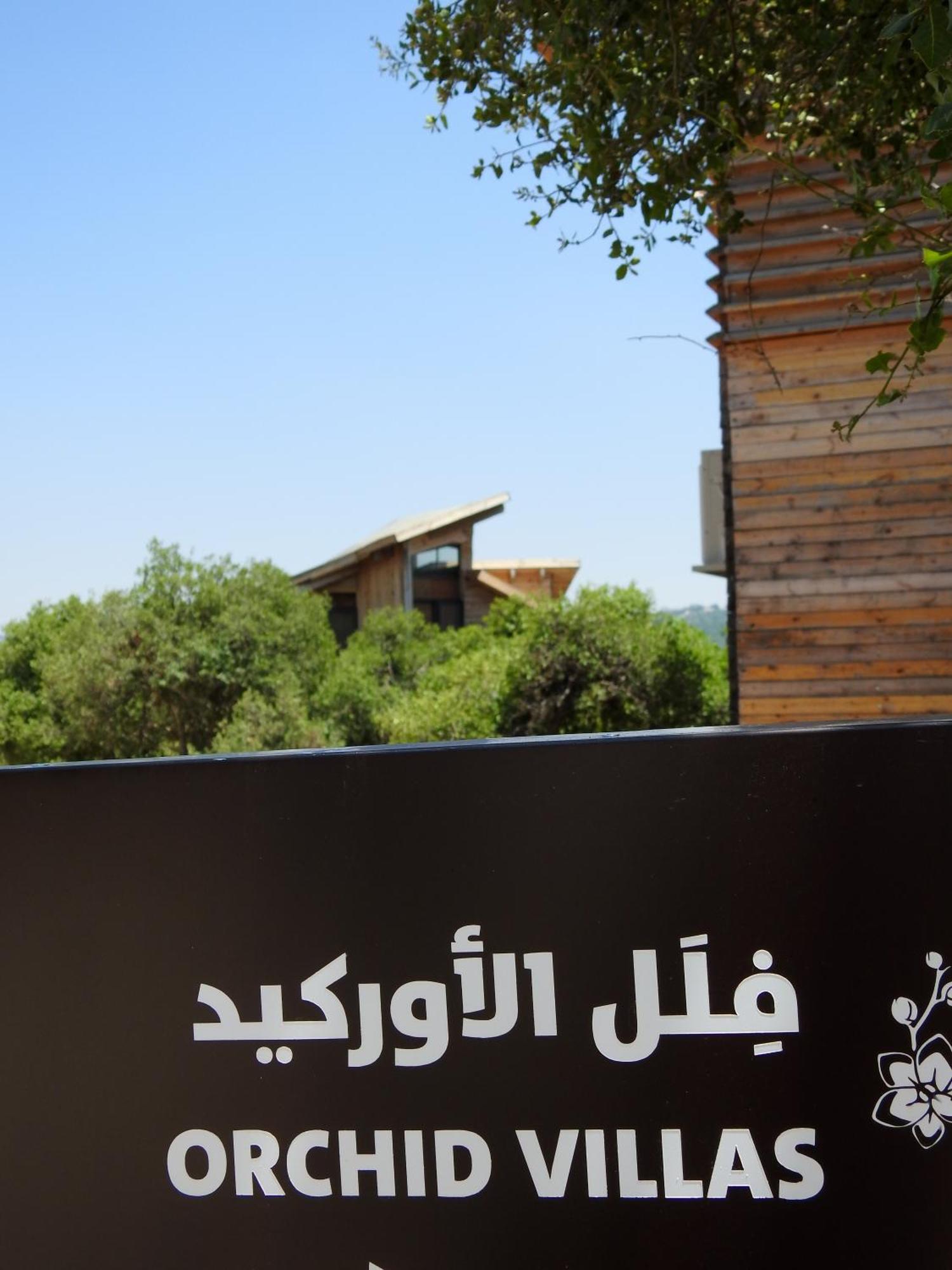 Ajloun Forest Reserve Kültér fotó
