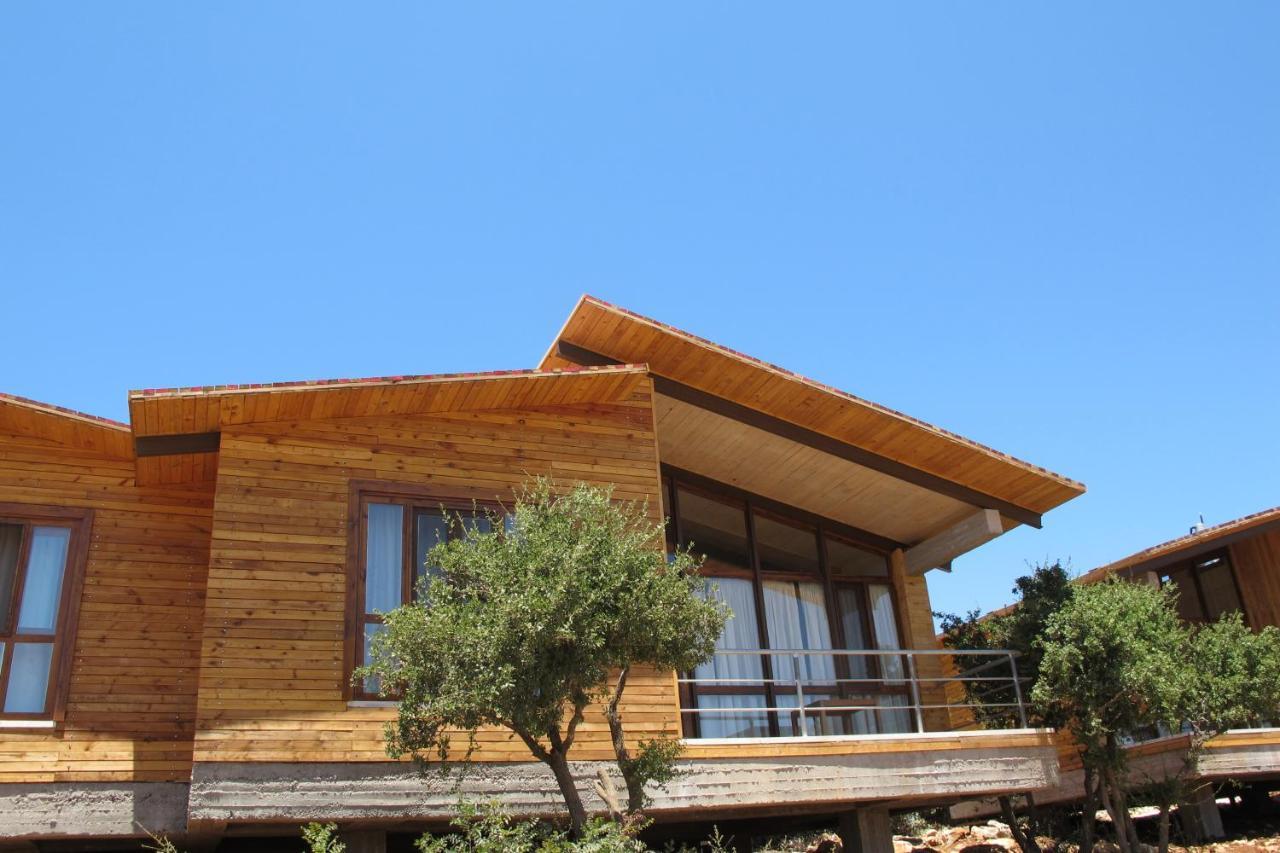Ajloun Forest Reserve Kültér fotó