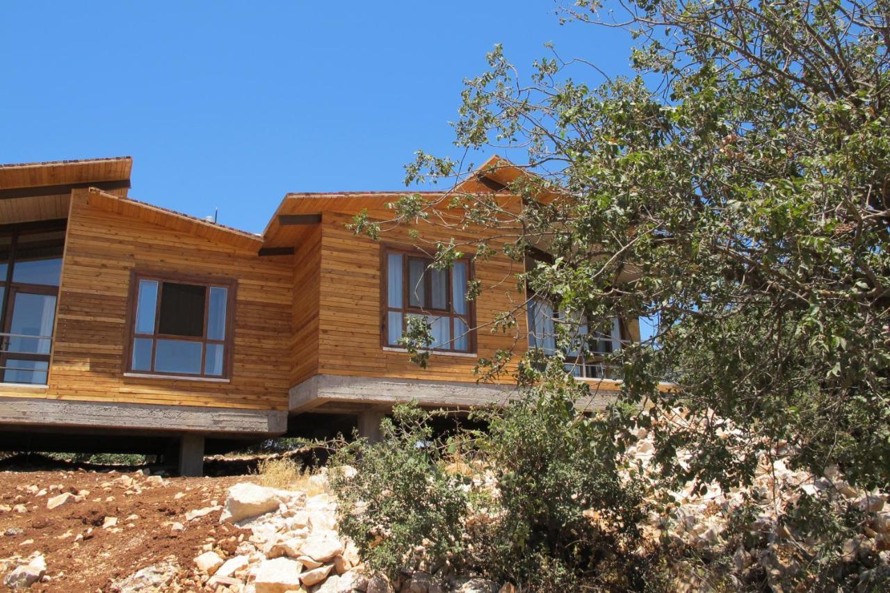 Ajloun Forest Reserve Kültér fotó